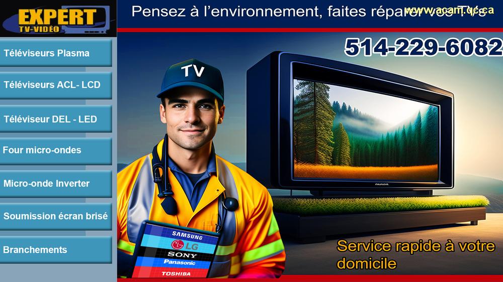 Cliquez pour voir l'image de l'annonce 175886