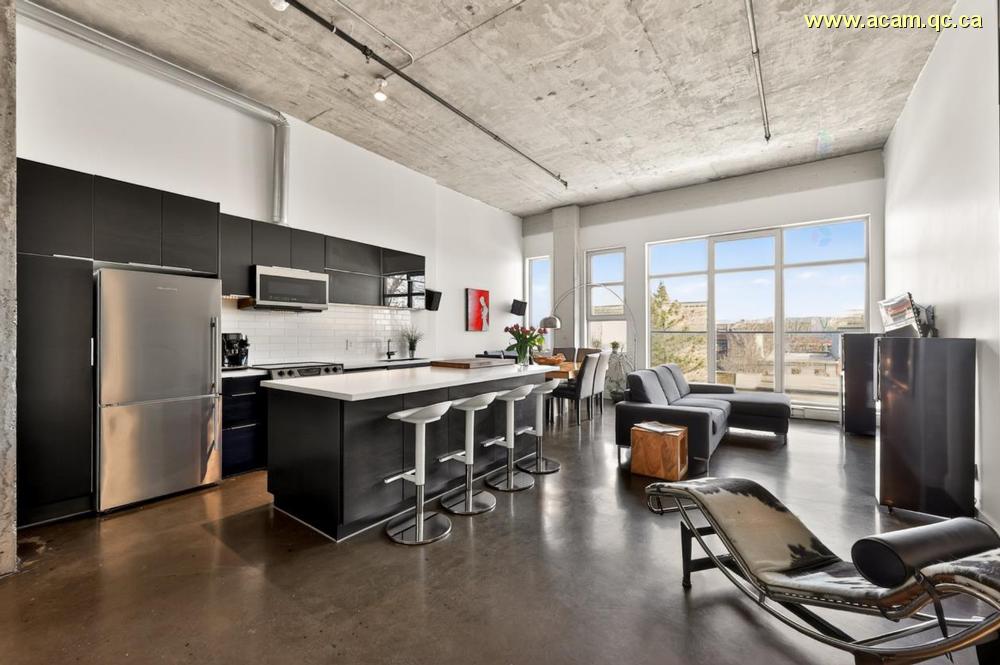 Loft-haut-de-gamme-au-cachet-i Condominium